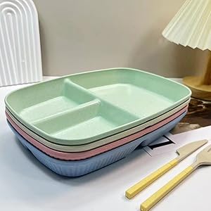 Unbreakable Divided Plates 11 Inch