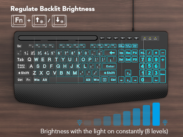 BACKLIT LEVER