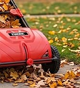 Push Lawn Sweeper 26-Inch