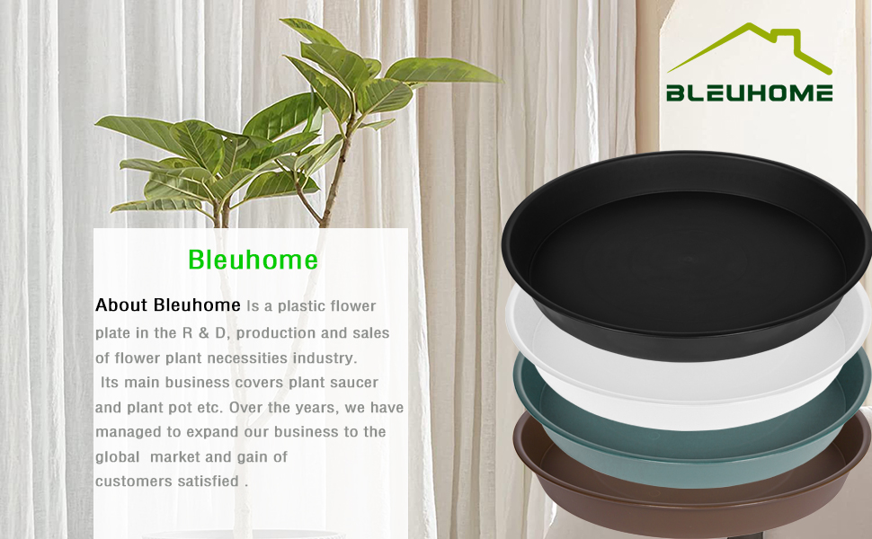 plant saucer