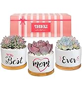 TDHDIKE Mom Birthday Gifts Best Mom Ever Gifts for Mothers Day, Birthday, Christmas. Unique Succu...