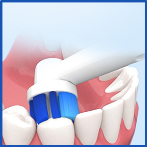 oral b