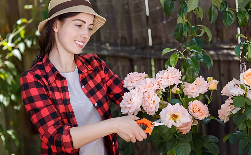 pruning shears