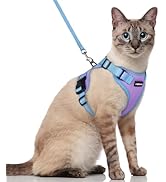 rabbitgoo Cat Harness and Leash Set, Escape Proof Soft Adjustable Vest Harnesses for Outdoor Walk...