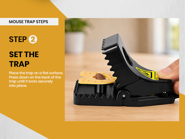 Mouse Traps