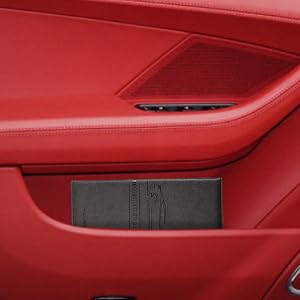 registration and insurance card holder
