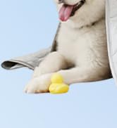 Rywell Cooling Blanket for Dogs, Large Dog Cooling Mat Q-Max>0.5, Durable&Versatile with Cooling&...