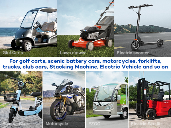 electric golf cart battery gauge
