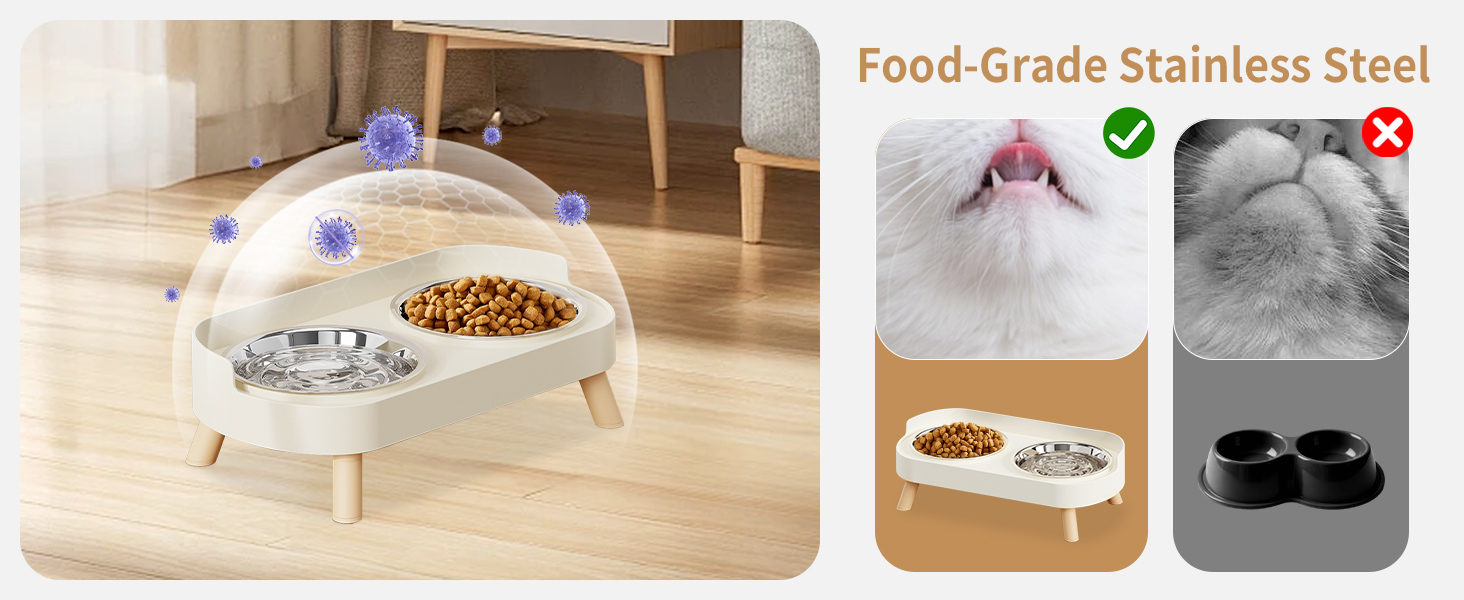 cat bowls for indoor cats