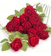 uehdydh 12 Pcs Red Roses Artificial Flowers, Real Touch Fake Velvet Flowers with Stems in Bulk fo...