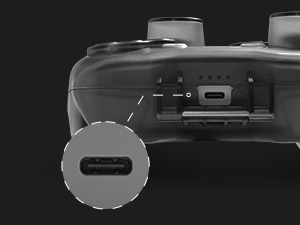 switch 2 pro controller case