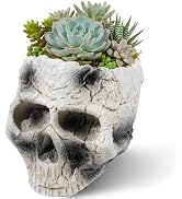 Wowagoga Resin Skull Flower Pot, Gothic Skull Planter with Drainage, Halloween Succulent Cactus P...