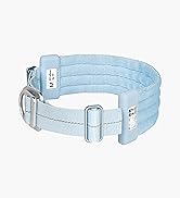 BuddyArmor Ultra Comfort Dog Collar Soft Padded Adjustable Nylon Collar Anti-Lost Comfort...