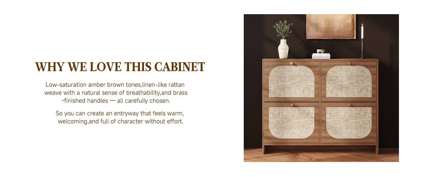 Shoe Cabinets