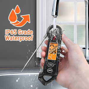 meat thermometer for grilling