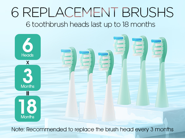 6 Replacement Brush