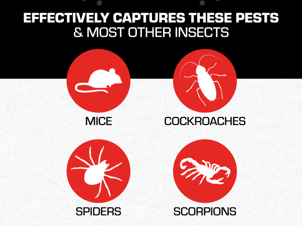 Effectively Captures These Pests and Most Other Insects: Mice, Cockroaches, Spiders and Scorpions