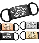 GoTags Silent Personalized Engraved Pet ID Dog and Cat Tags, Jingle Free Quiet Custom Name Tags (...