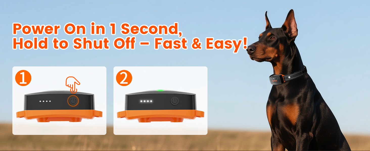 dog shock collar