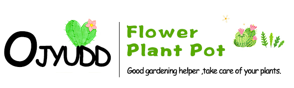 1 Self Watering