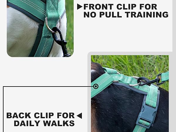 harness small size dog