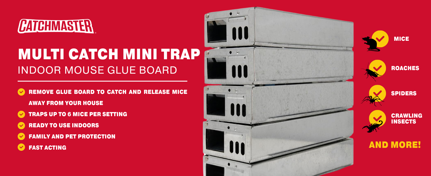multi catch container glue rat and mouse trap