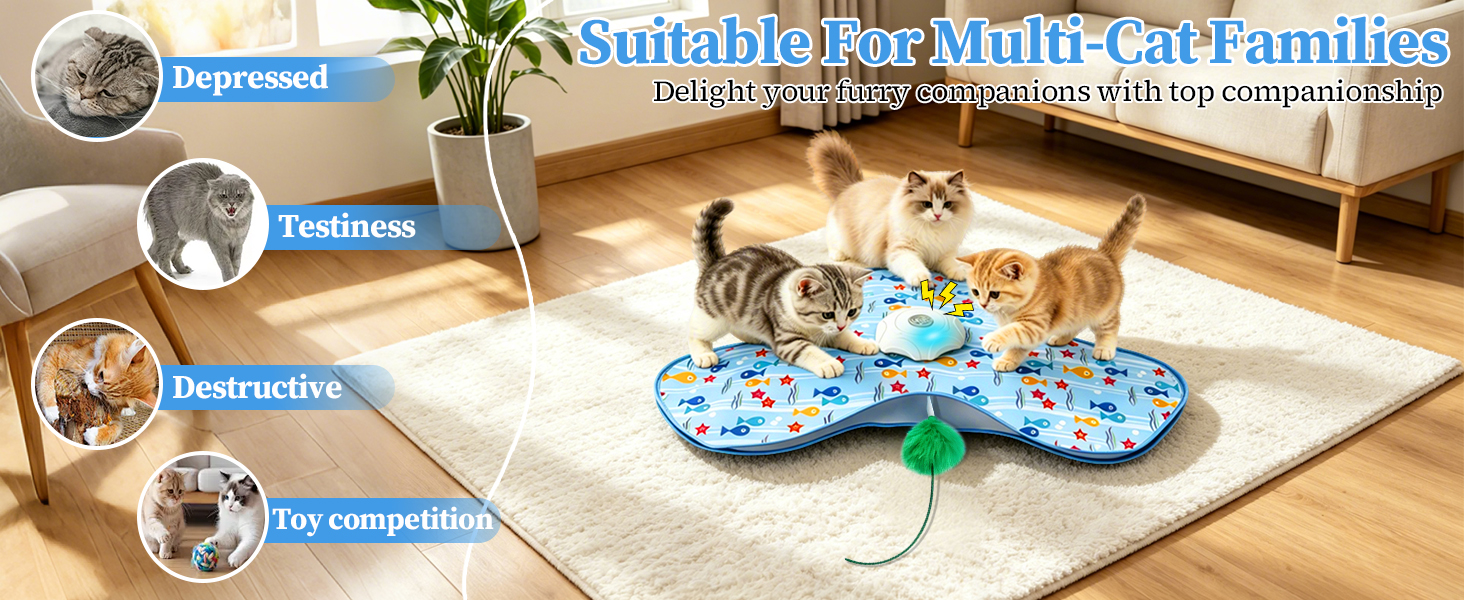 hide and seek cat toy