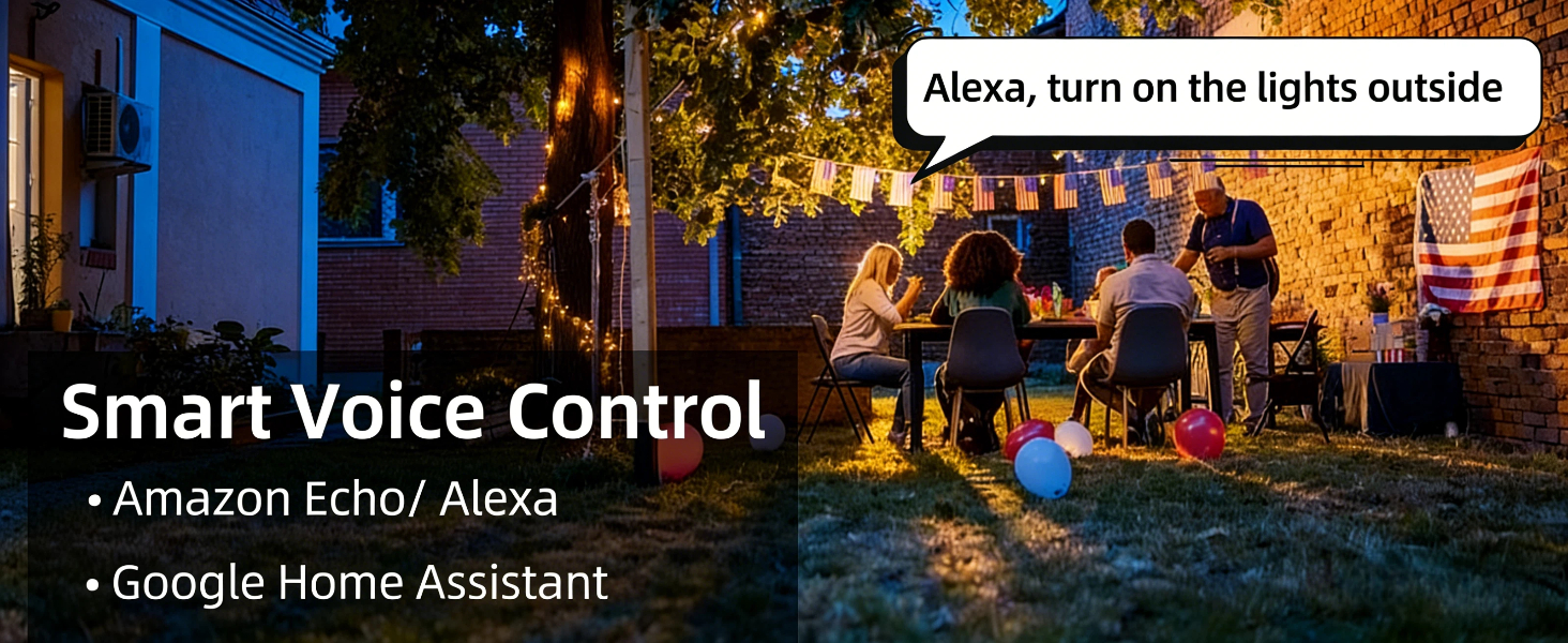 Smart voice control, support for echo and alexa