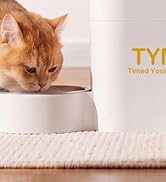 food and water dispenser for cats