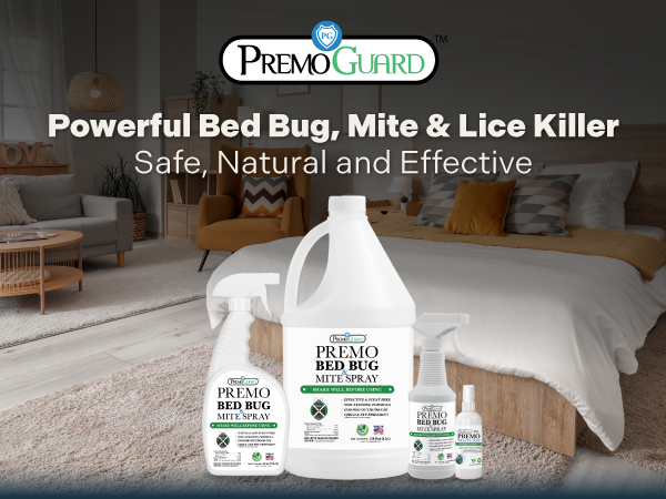 Bed Bug