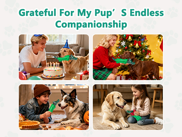 dog gifts