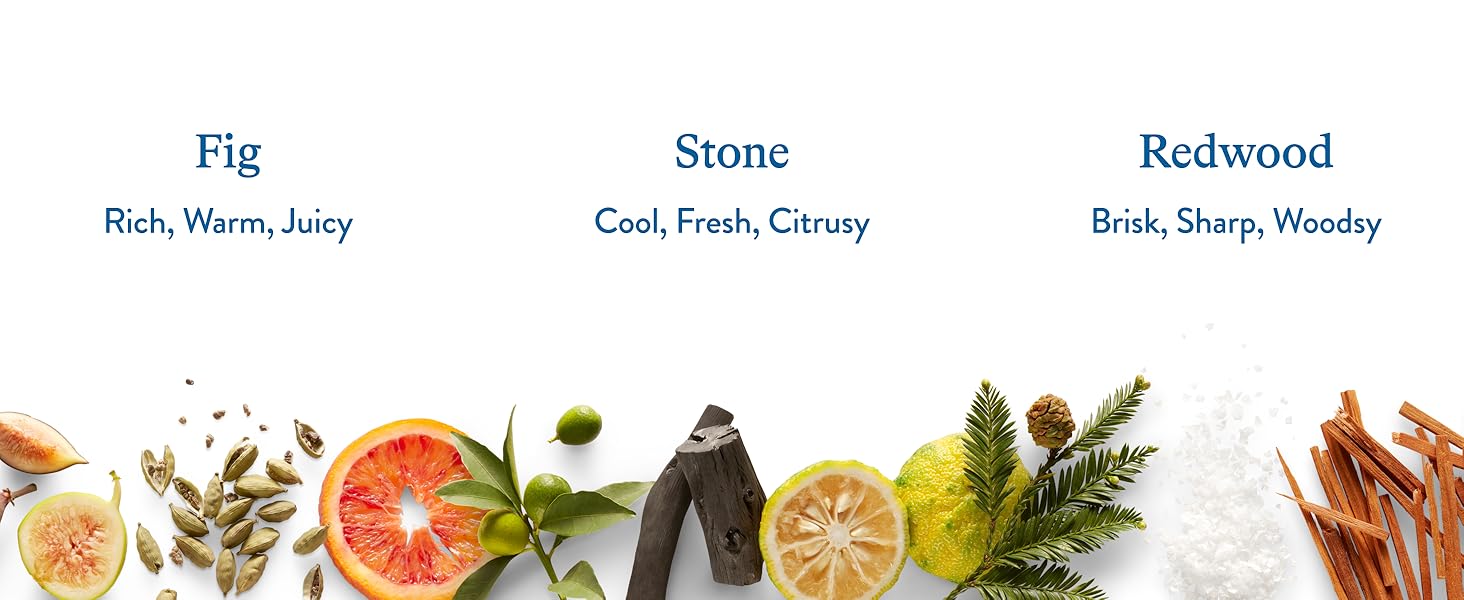 Fig, Stone, Redwood bar soap scents