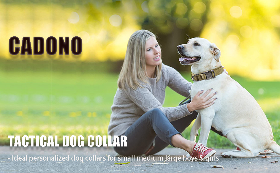 Adjustable Military Training Nylon Dog Collar with Control Handle for Medium and Large Dogs