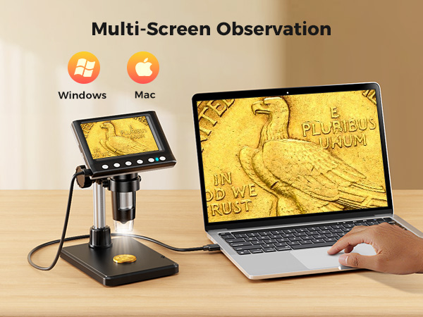 Multi-Screen Observation