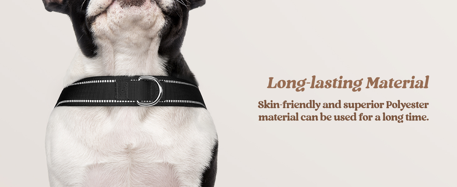 dog harness