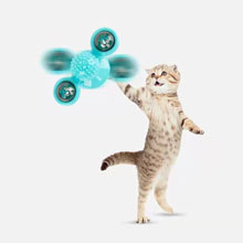cat toys