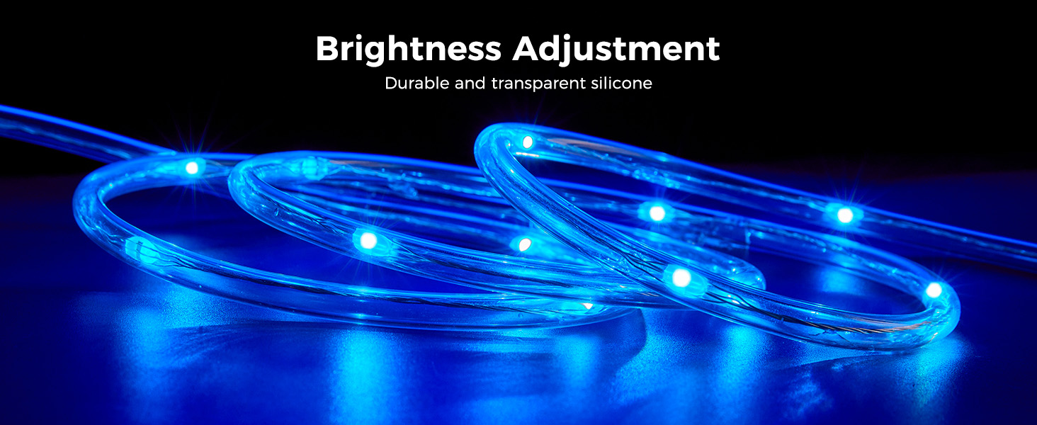 Dimmable Rope Lights