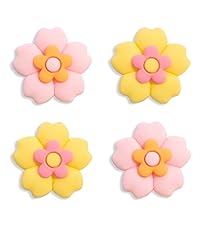 https://m.media-amazon.com/images/S/aplus-media-library-service-media/a4e1ed17-e5ef-4943-9f48-737127ec9d4c.__CR67,0,1067,1200_PT0_SX200_V1___.jpg