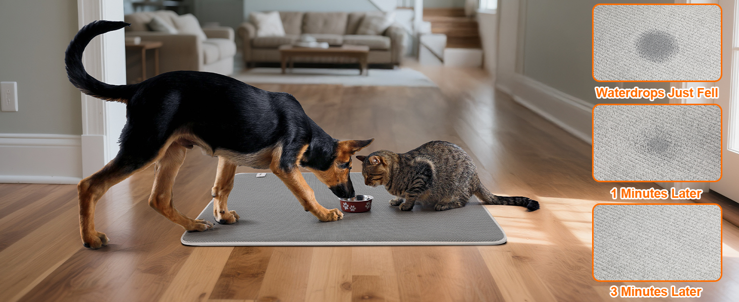 Pet Feeding Mat