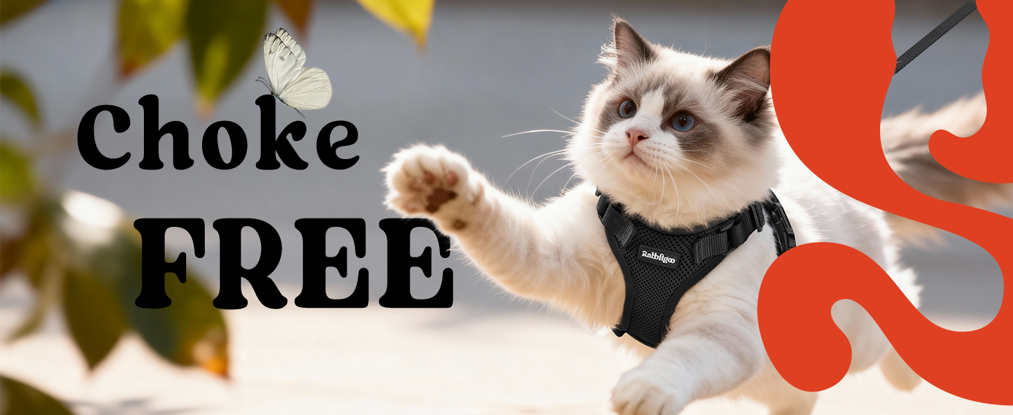rabbitgoo Escape Proof Cat Harness with Leash Set
