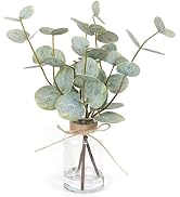 Muhanjia Artificial Eucalyptus Stems in Glass Vase with Faux Water,3Pcs Fake Plant with Double-si...