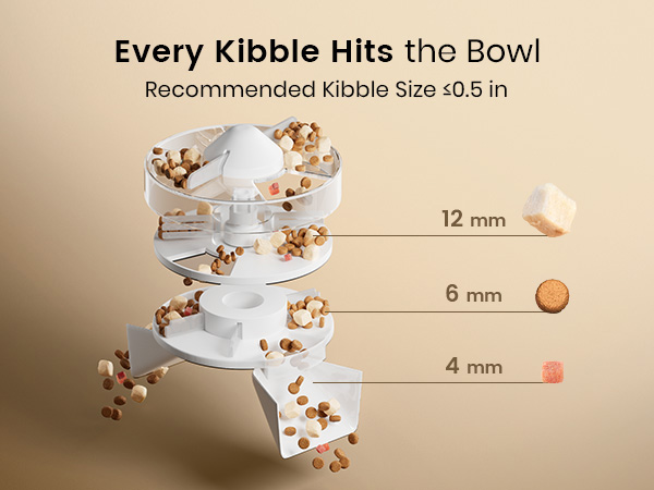 automatic cat feeder
