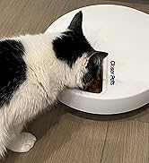 Cat Mate C500 5 Bowl Digital Timer-Controlled Automatic Pet Feeder - 5-Meal Feeder with Stainless...