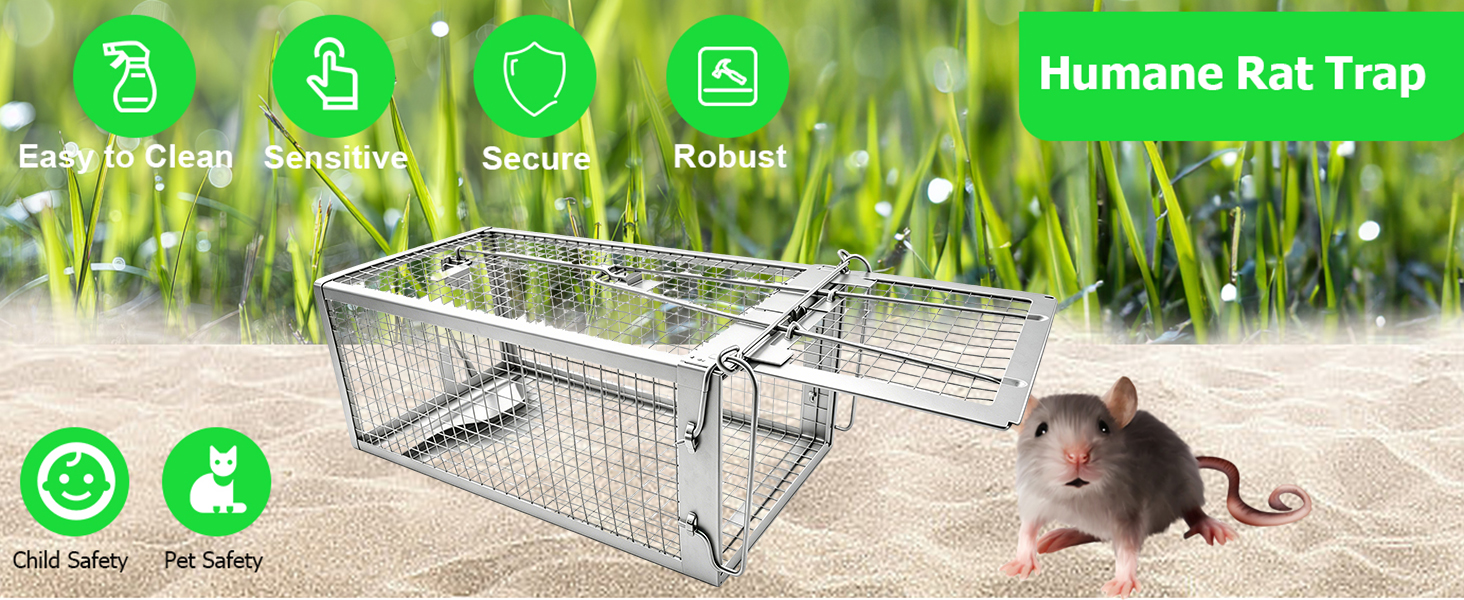 Rat Traps