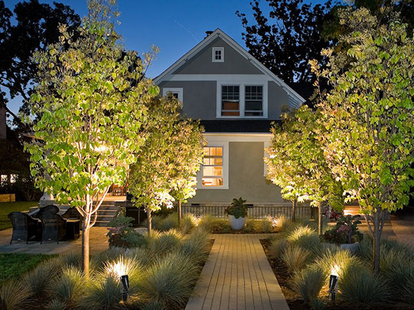 solar uplights for trees