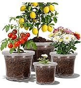 CXIIPOL 12 Pack 4/6/8/10 Inch Clear Nursery Pots for Plants, Large Size Clear Plant Pots with Dra...