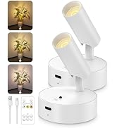 GOODEA Spotlights Indoor with Remote, 3000mAh Rechargeable Battery Plant Spotlight Indoor, Wirele...