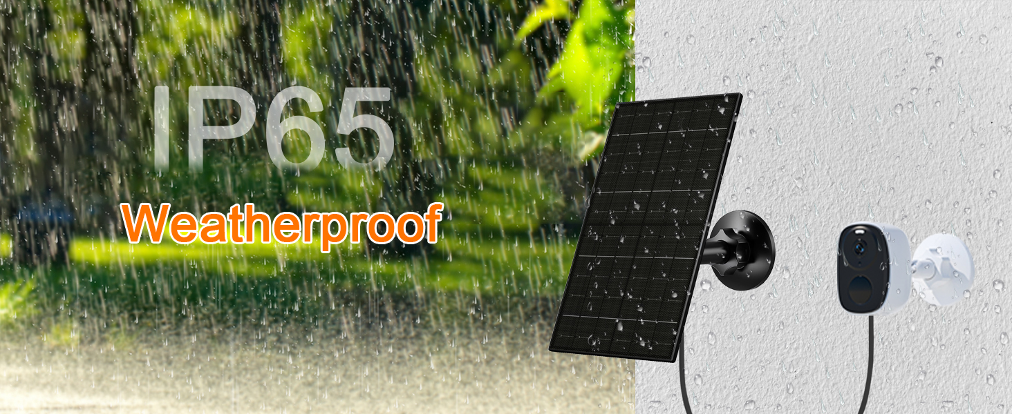 IP65