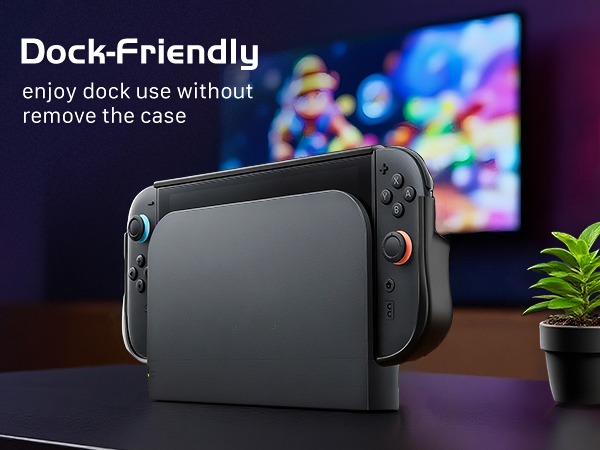 switch 2 dockable case
