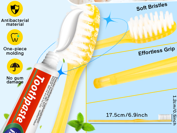 travel toothbrush set